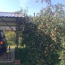 ���� �������, �����, 73 ���� - ��������� 11 ������� 2018 � ������ ���� ����������