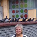 ���� �����, ����-�������, 78 ��� - ��������� 28 ������� 2018 � ������ ���� ����������