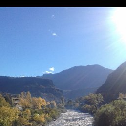 �����, ������, 46 ���