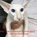 ���� �����, ��������, 54 ���� - ��������� 5 ������ 2018 � ������ ������ ��������