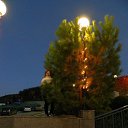 ���� �������, �����������, 50 ��� - ��������� 26 �������� 2018 � ������ ���� ����������