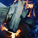���� ����, ��������, 37 ��� - ��������� 17 ����� 2019 � ������ ������ ��������