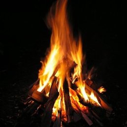 ���� Maxx, �������, 50 ��� - ��������� 24 ������ 2018