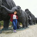 ���� �������, ������ - ��������� 24 ������� 2018 � ������ ���� ����������