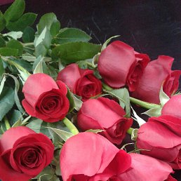 ���� �����, ��������, 39 ��� - ��������� 6 ����� 2019