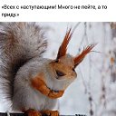 ���� ����, ����, 71 ��� - ��������� 18 ������� 2018 � ������ ������ ��������