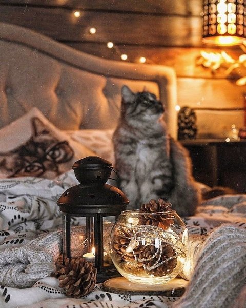 — Можно баночку будущего? — Вам какого? — Светлого, пожалуйста. - 5