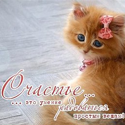 Galka, ������