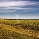 ���� ������, ��������, 49 ��� - ��������� 17 ������� 2018 � ������ ������ ��������