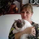 ���� �����, ��������, 58 ��� - ��������� 26 ������ 2019 � ������ ���� ����������