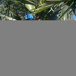 Jdjdjdj, ����, 42 ����