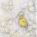 ���� Nick, �����������, 50 ��� - ��������� 28 ������� 2019 � ������ ������ ��������