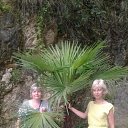  , -, 53  -  15  2018    