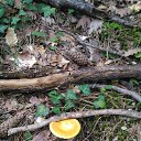  , , 60  -  4  2018   ,  ,04.08.18.