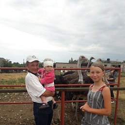 �����, ����, 54 ����