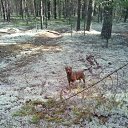 ���� ����, ���������, 59 ��� - ��������� 12 ������� 2019 � ������ ���� ����������