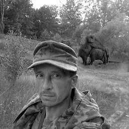 ����, �������, 59 ���