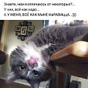 ���� �����, �������, 53 ���� - ��������� 10 ������� 2019 � ������ ���� ����������