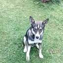 ���� ��������, �������, 44 ���� - ��������� 15 ������� 2018 � ������ ���� ����������