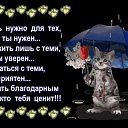 ���� �������, ������ - ��������� 8 ������� 2018 � ������ ������ ��������