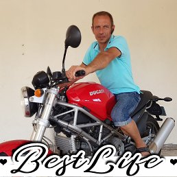 Agnis, ����, 50 ���