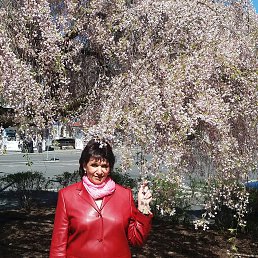 Jelena, ������� ����, 62 ����