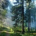  , , 67  -  16  2019   +