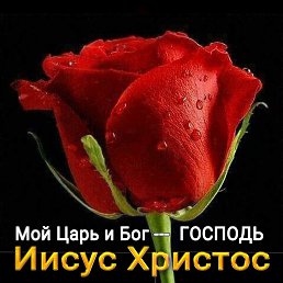 ���� �������, ���� - ��������� 19 ����� 2019