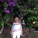 ���� ������, ���������, 53 ���� - ��������� 20 ������� 2018