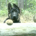 ���� �������, ����, 58 ��� - ��������� 10 ������� 2018 � ������ ������ ��������