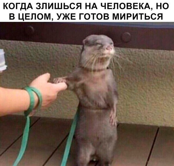    - 18  2018  16:32