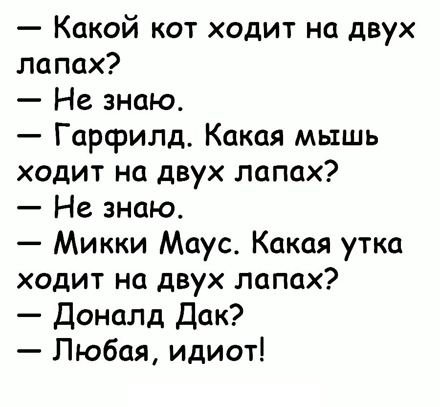 Мышь на двух ногах загадка. Какая мышь ходит на двух лапах. Какая мышь ходит на 2 ногах. Какая мышь ходит на двух лапах загадка. Какая утка ходит на двух.