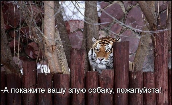    - 23  2018  17:00