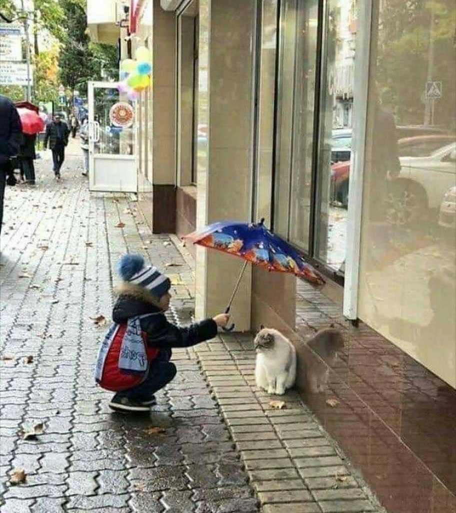     ,     ,   ,     ...