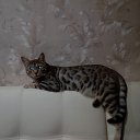 ���� �����, �����-���������, 45 ��� - ��������� 11 ������� 2019 � ������ ���� �����!�