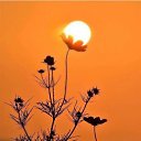 ���� �����, ������, 57 ��� - ��������� 1 ������� 2018 � ������ ���� ����������