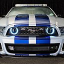 ���� ���������, �����, 30 ��� - ��������� 8 ������ 2019 � ������ ���� ����������