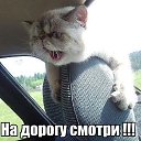 ���� Viktor, ������������, 48 ��� - ��������� 1 ����� 2019 � ������ ������ ��������