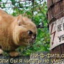 ���� �������, ���������, 80 ��� - ��������� 10 ������ 2019 � ������ ������ ��������