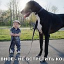 ���� �����, ��������, 61 ��� - ��������� 27 ����� 2019 � ������ ������ ��������