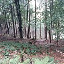 ���� Vladimir, ����, 42 ���� - ��������� 27 ������� 2018 � ������ �S�