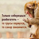 ���� �����, ����������� - ��������� 7 ������� 2019 � ������ ������ ��������