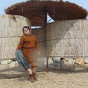 ���� ������, ����������, 79 ��� - ��������� 25 ������ 2019