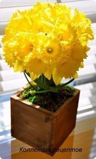 #8 #.  !   ,  ,  ,  ... - 5