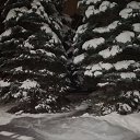 ���� ����������, ����, 48 ��� - ��������� 5 ������ 2019 � ������ ���� ����������