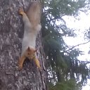 ���� �����, ���������, 55 ��� - ��������� 10 ������� 2018 � ������ ���� ����������