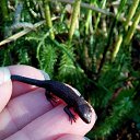 ���� ����, ������������, 51 ��� - ��������� 24 ������ 2018 � ������ ������ ��������