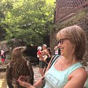  ,  , 58  -  22  2018