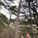 ���� ��������, ����, 71 ��� - ��������� 17 ������ 2019 � ������ ���� ����������