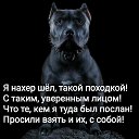 ���� Vlad, ����� - ��������� 3 ������ 2019 � ������ �������